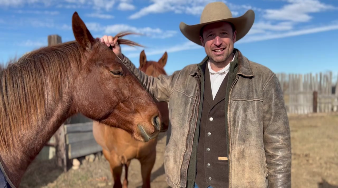 Do Horses Actually Love Their Humans?   How Horses Show Trust, Affection, and Connection