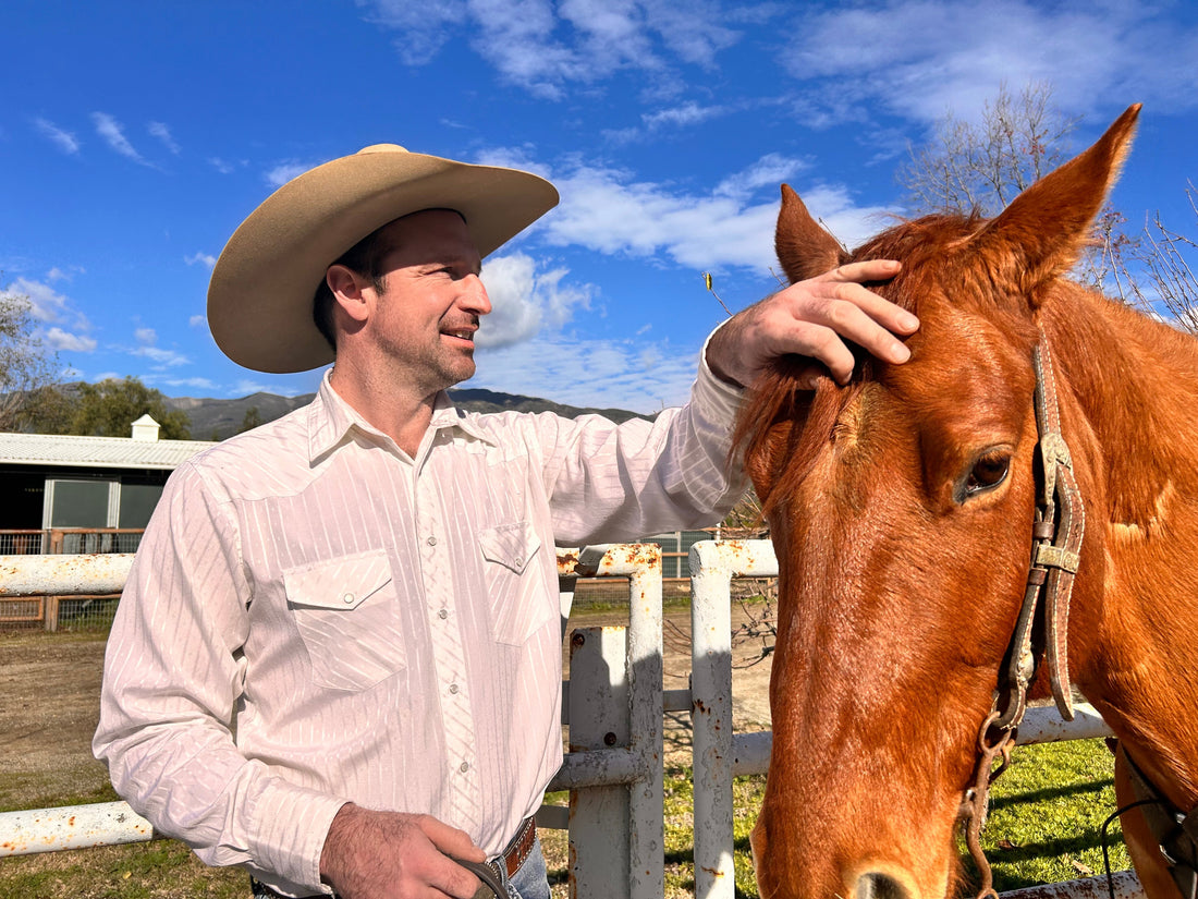 Spoil Your Horse