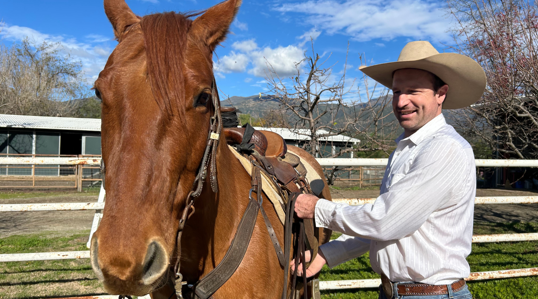 Is Your Horse Ready to Level Up?