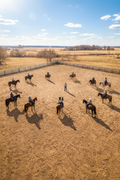 Caronport, SK – Horsemanship Clinic (Oct 3–4)
