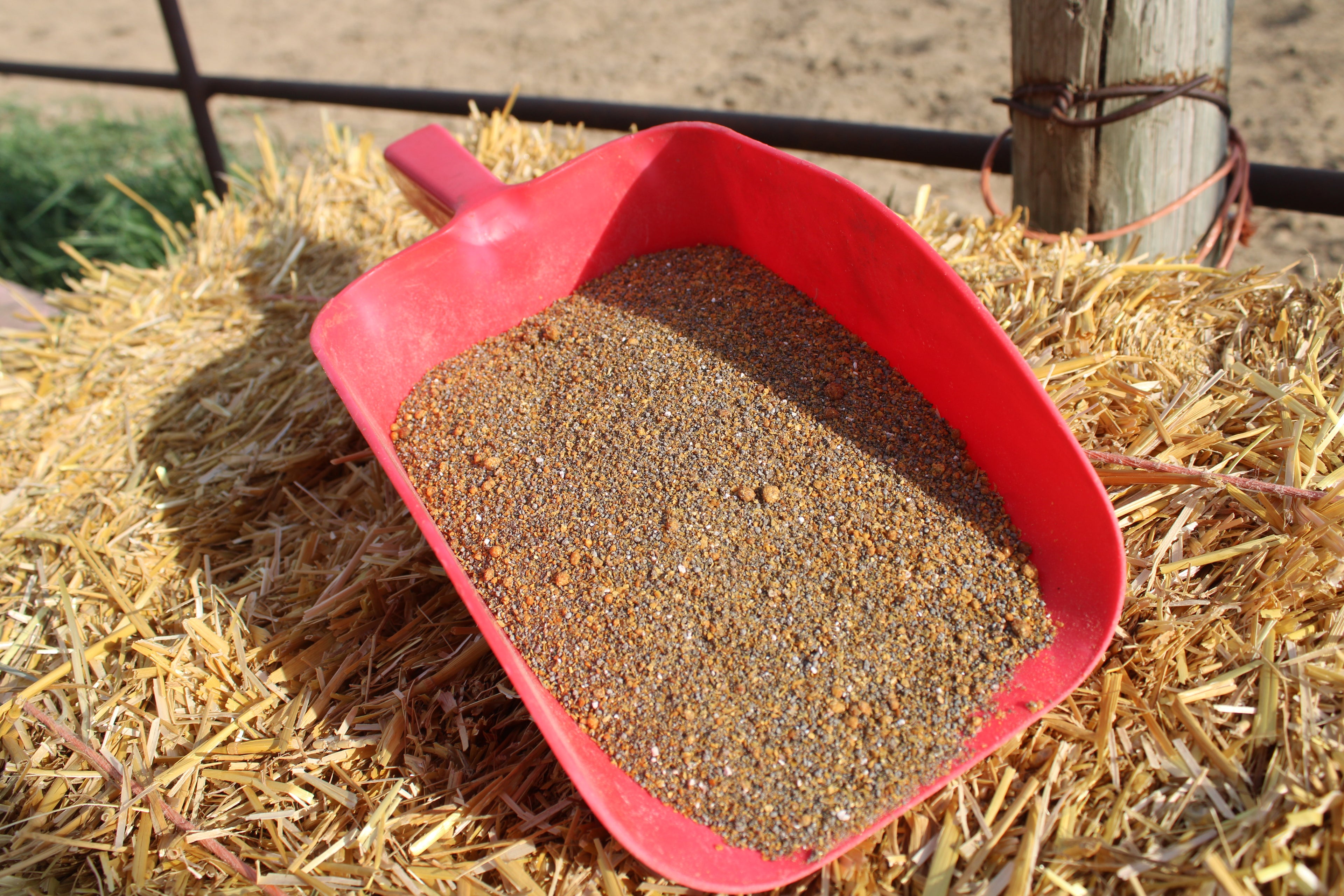 Happy Horses Maintenance Blend