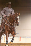 Calgary, AB |  Horsemanship Clinic